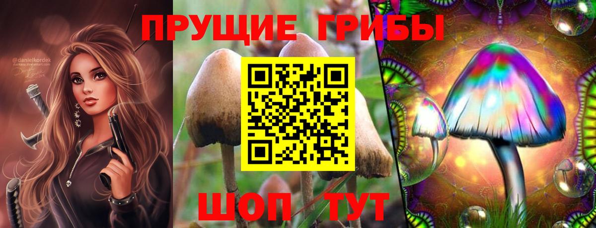 Галлюциногенные грибы Magic Shrooms Георгиевск