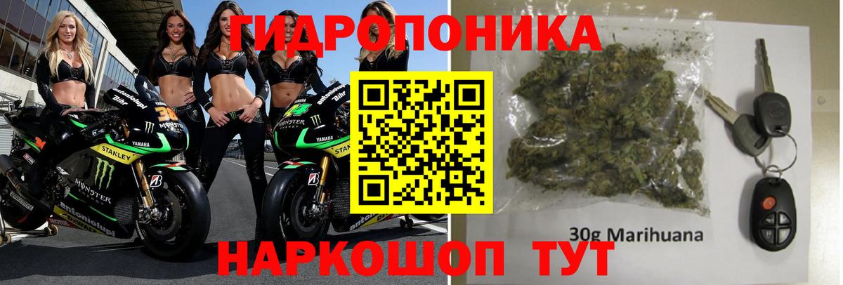 Конопля MAZAR  МАРИХУАНА марихуана  Георгиевск  Бошки Шишки гибрид  Вход с VPN 